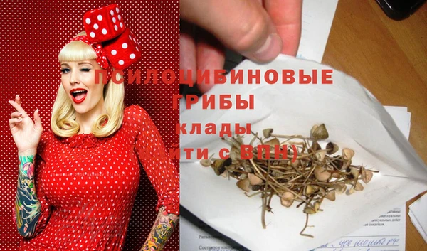 прущие крисы Алзамай