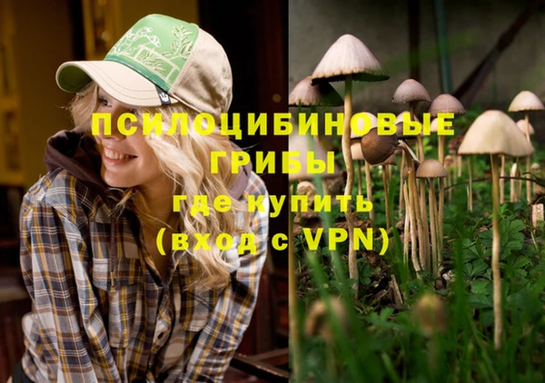 прущие крисы Алзамай