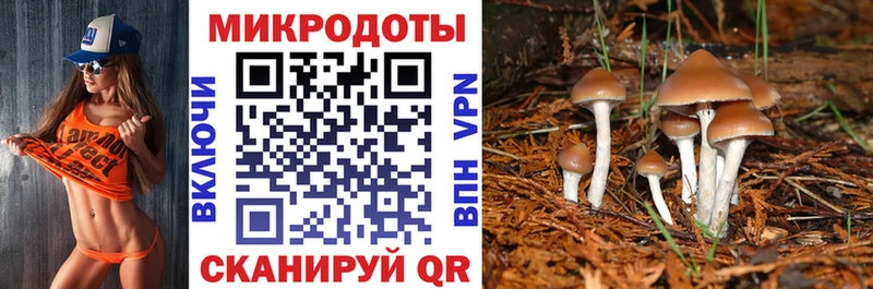 Галлюциногенные грибы Magic Shrooms  Тимашёвск 